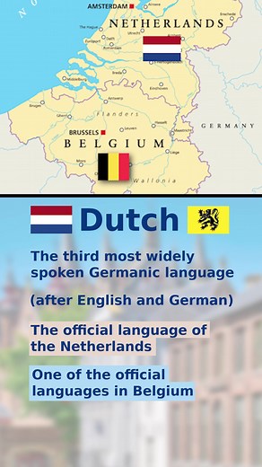 Understanding the Dutch Language in the Netherlands and Belgium