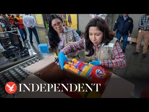 Live: DNA test results for Peru's mummified 'alien' humanoid unveiled