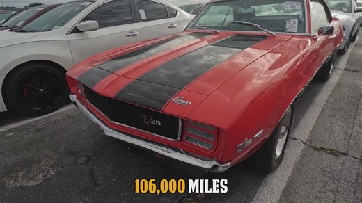 Finding better wholesale deals at Florida auctions