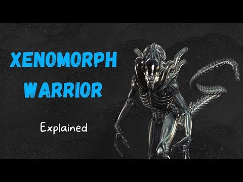 Xenomorph Warrior - Explained (Alien Lore)