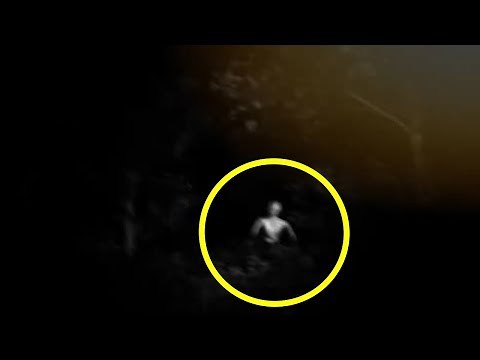 5 Grey Aliens Caught On Camera & Spotted In Real Life!