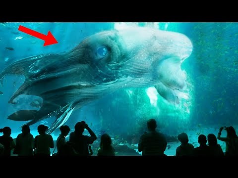 12 Scariest Sea Monsters Still Alive Today