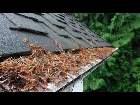 Major Leaf filter problems