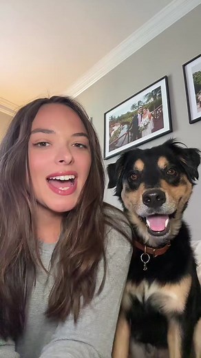 Getting a Dog from Craigslist - Pros and Cons Explained