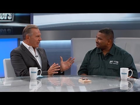 Rat & Mouse Infestation: What to Do!