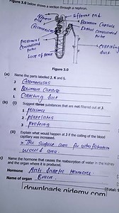 GCE Biology Study Guide: Cell Respiration Explained