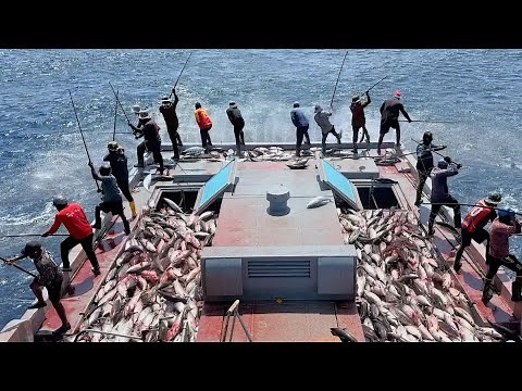 Full video of how we catch skipjack tuna watch till the end 🎣