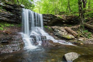 Discover Top State Parks Near Harrisburg in 2025 for Adventure & Nature