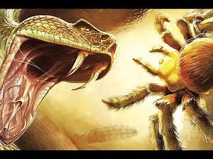 Deadly Creatures All Cutscenes Gameplay Walkthrough