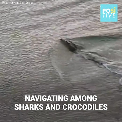 These three siblings were shipwrecked in the middle of nowhere... their mother gave her life to save them. Ellis, Norita and Stephen were traveling with their parents and 3-year-old brother in a boat on their way to a party on a nearby island. However, the boat broke down and sank in mid-ocean. The parents stood hugging each other as they urged their older children to save their lives... they had to swim miles among sharks to reach dry land. | Positive