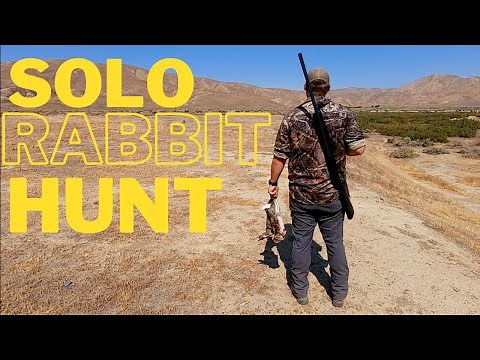 Solo Cottontail Rabbit Hunting on California Public Lands (BLM) Full Limit - Beretta A300 Outlander