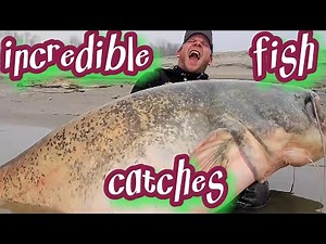 Catch of a Lifetime: The World's Top 20 Biggest Fish Ever Caught