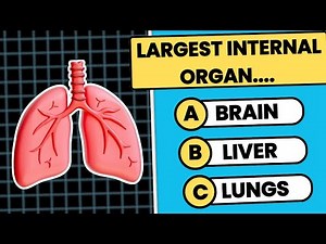 Ultimate General Knowledge Quiz | 30 Hardest and Tough Trivia Questions | Test Your IQ