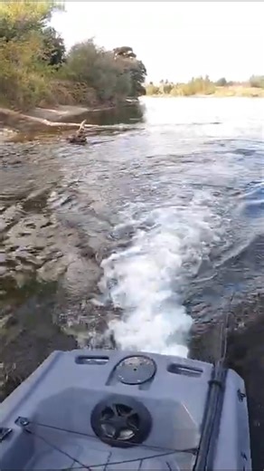 Shallow water. Solid log. Still no problem ⚡ The FluxJet’s enclosed jet drive glides right over — no exposed prop to snag or break. Built tough for anglers and adventurers who go where other kayaks can’t. | FluxJet Kayaks