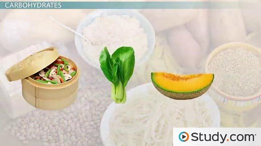 Energy-Yielding Nutrients | Overview & Types