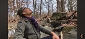 Alien Movement on Reels