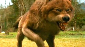 The Twilight Saga: New Moon: Official Clip - Jacob's Transformation