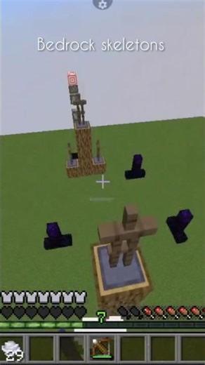 #java vs bedrock skeletons #minecraft