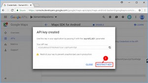 Generate Google Map Api Key