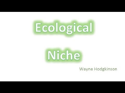 Ecological niche - fundamental & realised
