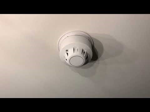 Apollo XP95 Fire Alarm Activation