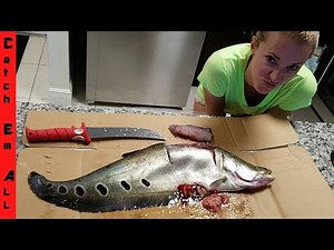 Alien Fish Catch and Cook ClownknifeFish!
