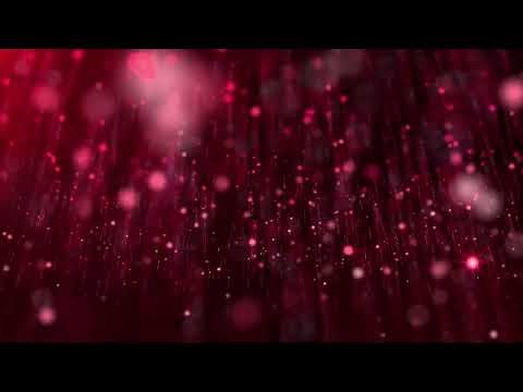 4K Flying Pink Particles - 4K Free motion Background - VJ Loops 2020