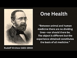 One Health Evolution: A Journey of Significance