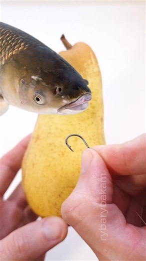 Do This to Catch Amur Carp! 🤫🎣 🍐 #shorts