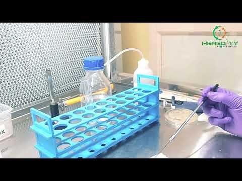 Hanging Drop Method |Bacterial Cell motility #microbiology