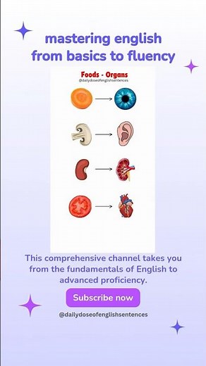 Mastering English: From Basics to Fluency | Complete English Learning Guide!