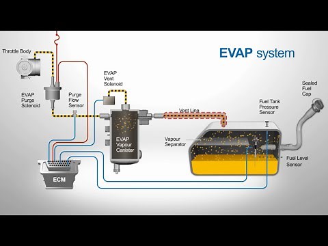 Vented Evaporative Systems