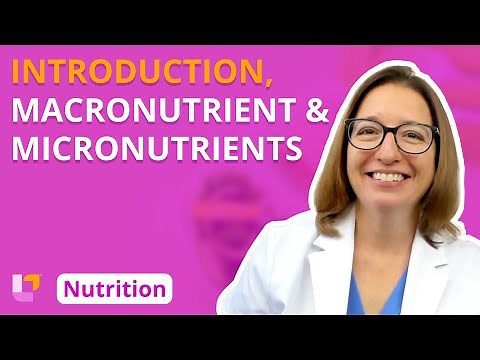 Introduction, Overview of Nutrients - Nutrition Essentials | ‪@LevelUpRN‬