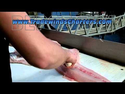 How to Fillet a Ling Cod