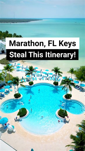 The perfect itinerary for Marathon in the Florida Keys! If you are planning a trip to the Keys, this is a great way to spend your vacation. Here are some things to do in Marathon on your Florida Keys itinerary. #marathonflorida #MarathonFL #floridatravel #floridavacation #bahiahonda #floridavacation #floridatravel #overseashighway #keywest #keylargo | Florida Trippers