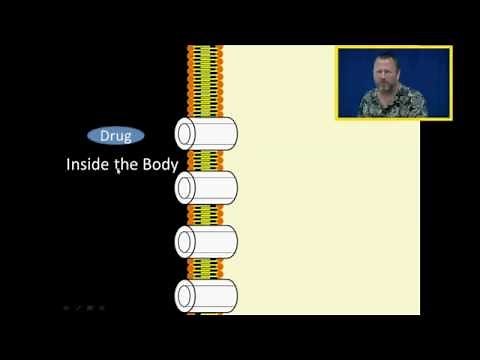 First and Zero Order Kinetics