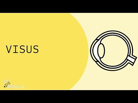 Vision: How does the eye work?