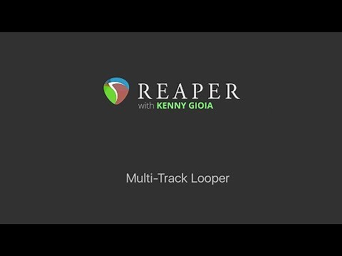 Multi track Looper in REAPER