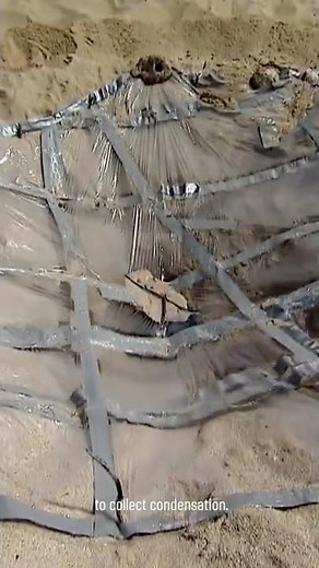 The Most Essential Survival Skill