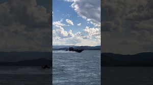 How Fast Can This Jet Boat Go?