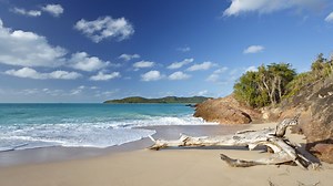 14 of the best beaches in Barbados - Lonely Planet