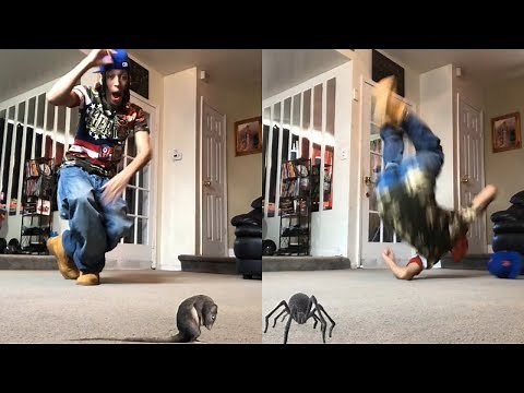 FUNNIEST "OHH SHIT! A" Vines Compilation | @lightskinmonte | Magnolia