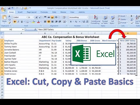 Excel How-To: Cut, Copy and Paste Basics
