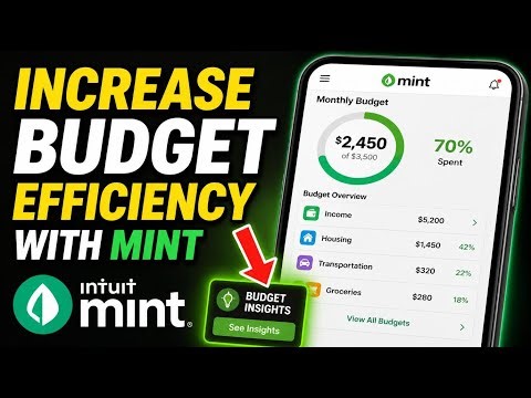How to increase budget efficiency with Mint - Detailed Guide