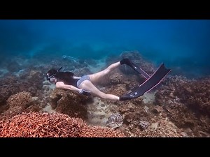 Freediving Girl Bumping into a Giant Trevally in Stunning Coral Reefs