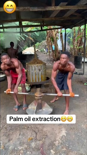 Palm Oil Extraction: Juicing Oil from Palm Nuts