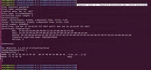 Generate Private Key From Certificate Keytool