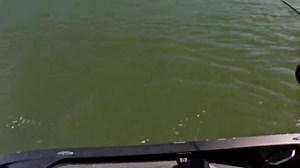 🚨BIG BASS ALERT🚨 Matt Adams’ game changing catch marks a huge shift in how this will all play out. According to #BassTrakk, Adams is merely 2 OUNCES away from leader, Laker Howell. You definitely don’t want to miss the final weigh-in — tune in starting at 3:00 PM CT on Bassmaster.com. 🤯 | Bassmaster