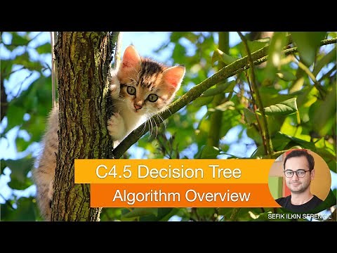 The Math Behind C4.5 Decision Tree Algorithm