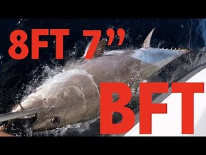 WE CAUGHT A MONSTER (The REAL Wicked Tuna) | Commercial Fishing Giant Bluefin Tuna OBX, NC